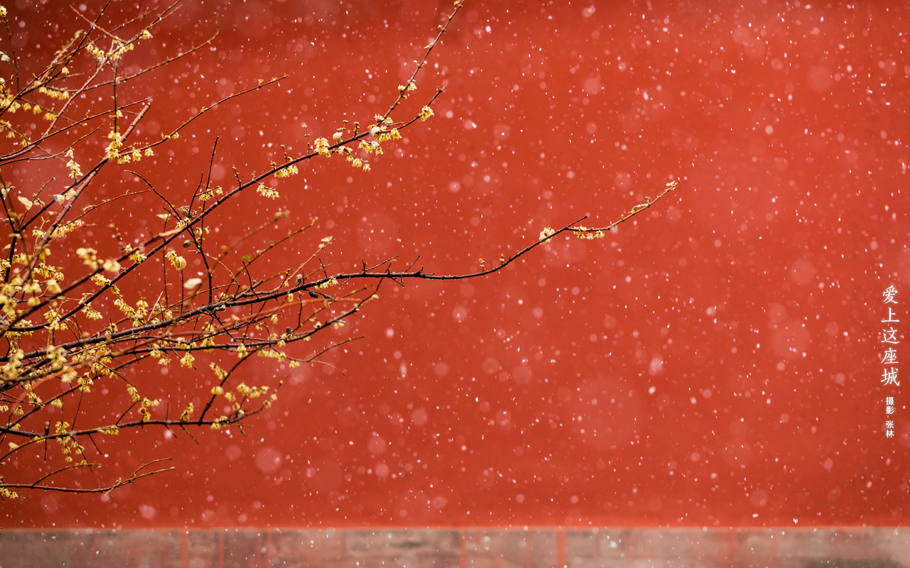 Slideshow Image 12