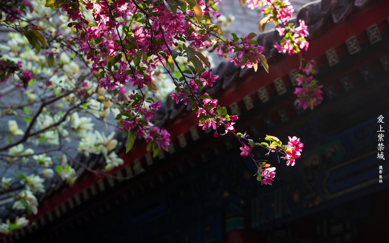 Slideshow Image 3
