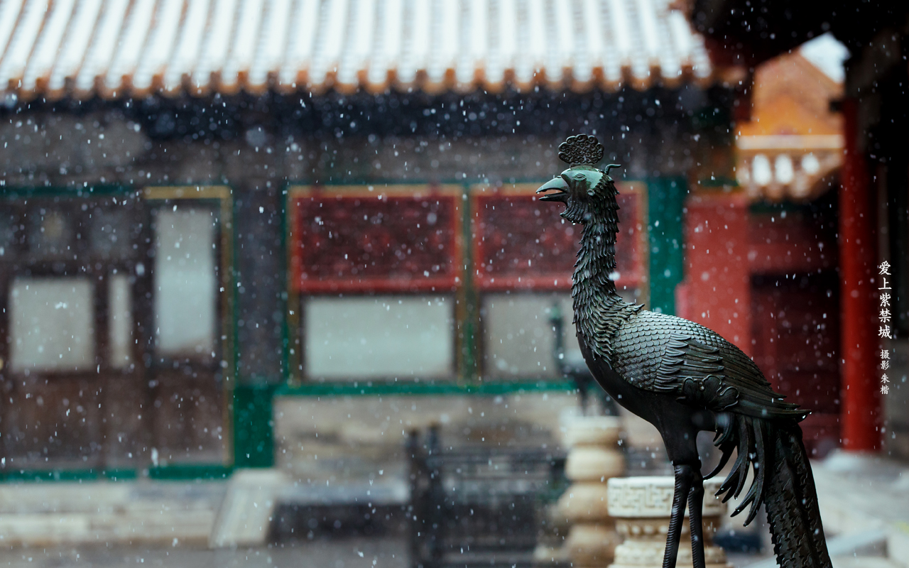 Slideshow Image 5